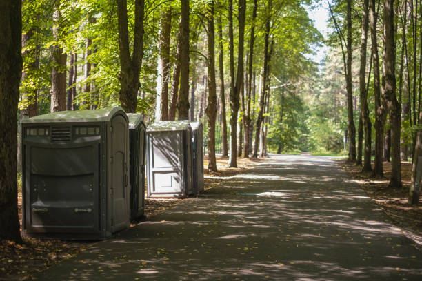 Affordable portable toilet rental in Aledo, IL